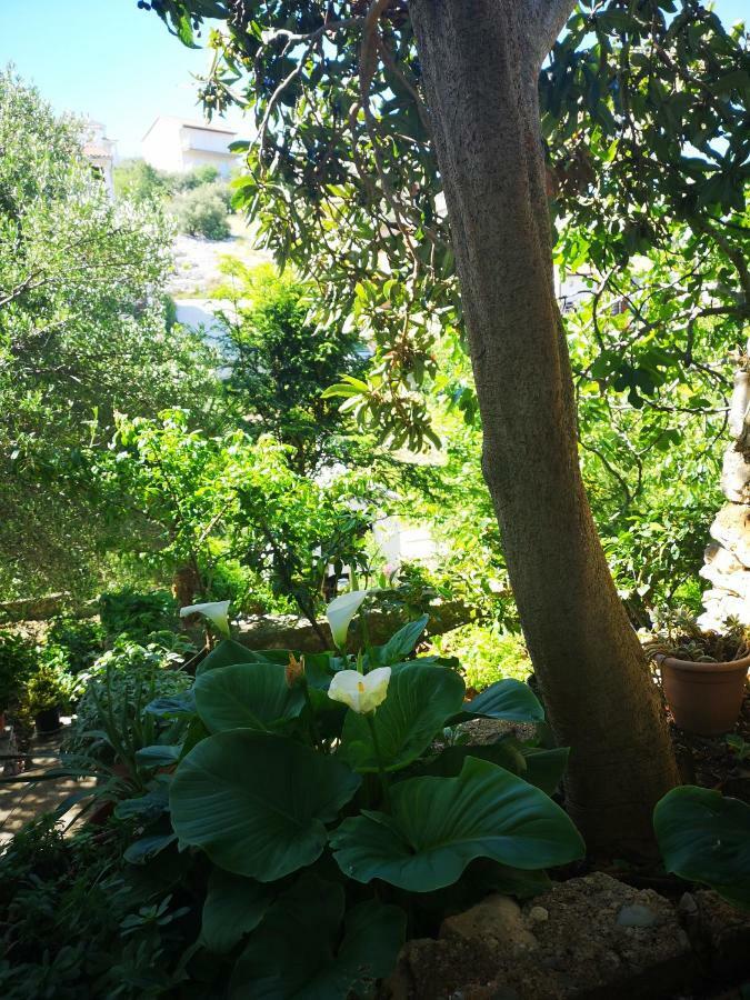 Apartman Sissy Primošten Dış mekan fotoğraf